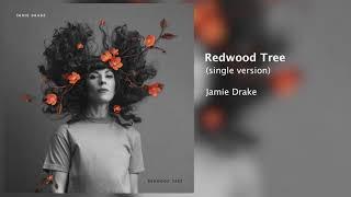 Jamie Drake -- "Redwood Tree" (Official Audio)