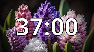 37 Minutes Timer with Music | Spring Timer