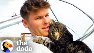 These Cats And Their Dads Are The Cutest Duos | The Dodo