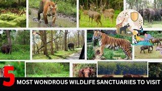 Top 5 Most Wondrous Wildlife Sanctuaries to Visit | Top 5 Best Wildlife Sanctuary to Visit