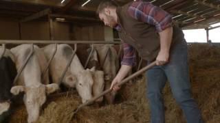 The Future for Beef Farming in Ireland