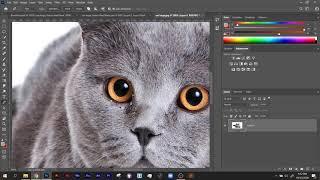 Photoshop   Pen Tool for Selections