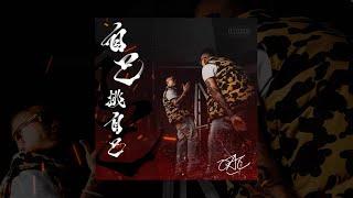 OAC - 今天要去哪裡 (Official Audio)