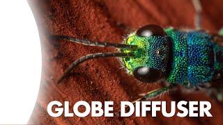 Globe Diffuser for Macro Photography – 8 Things You Must Know!