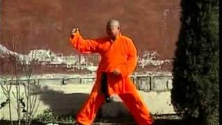 15. 少林武术 - 铁砂掌 Shao Lin Martial Art 15