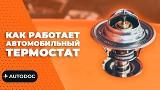 Как работает автомобильный термостат, принцип действия | AUTODOC #autodoc #lifehack