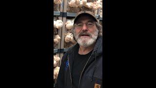 Paul Stamets in Lion’s Mane Grow Room