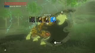 Gold Lynel Battle (Part 1-2)