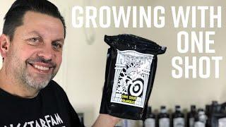 Growing Autoflowers with One Shot | OCGFAM544