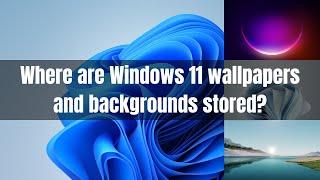 Where are Windows 11 theme wallpapers and backgrounds stored?