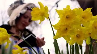 William Wordsworth's daffodils poem (I wandered lonely as a cloud)