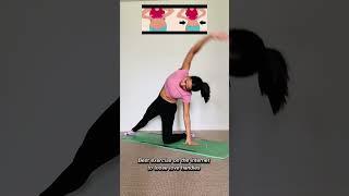 Best Exercise to Burn Love Handles | Core & Oblique Workout