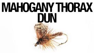 Learn How to Tie The Mahogany Thorax Dun