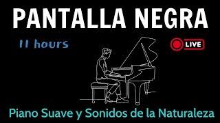 Piano Suave y Sonidos de la Naturaleza – Música para Dormir y Meditar