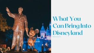 What You Can Bring Into Disneyland