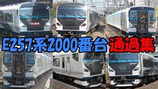 【E257系2000番台好きの為の動画！】E257系2000番台　列車通過集【通過シーン集】