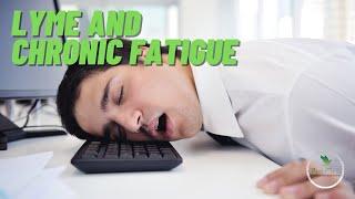 Chronic fatigue and mitochondrial dysfunction