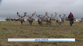 Новости Ненецкого автономного округа от 03.08.2021