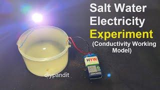 salt water and electricity experiment on conductivity working model | DIY pandit