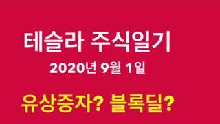 테슬라 주식일기 20년 9월 1일, 유상증자? 블록딜?