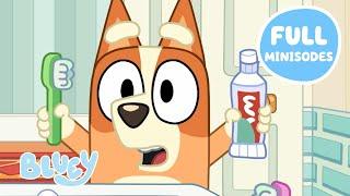 AMAZING Bluey Minisodes!  | New SIX Minisodes in ONE | Bluey