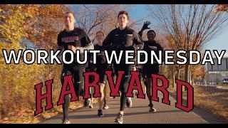 Graham Blanks, Harvard Rip Trophy-Chasing 2024 NCAA Cross Country Championship Workout Wednesday