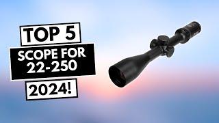 Top 5 Best Scope For 22 250 In 2024!