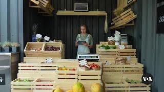 Market in Ukraine's Kharkiv region helps out-of-work farmers