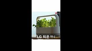 너만의 작은 정원이 되어줄게..(LG 틔운 미니 1분 사용법)