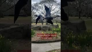 Brookgreen Gardens Murrells Inlet SC #shorts #thingstodoinmyrtleBeach #Statues
