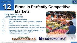 Microeconomics - Chapter 12: Firms in Perfectly Competitive Markets