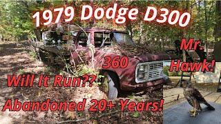 1979 Dodge D300 Abandoned In Woods 20+ Years! Will It Run?!?