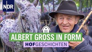 Feilschen für ein außergewöhnliches Pferd | Hofgeschichten (157) | NDR auf’m Land