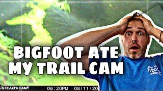 Trail Camera Secrets | BIG BUCKS on PUBLIC LAND | Tips & Tricks