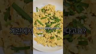 올 겨울 최고 살빠지는 레시피