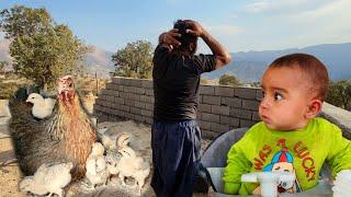 Captivating documentary: The life of a nomadic father and his baby in the mountains