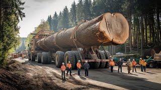 Fastest Chainsaw Cutting Tree Machines | Sawing Trees With Heavy Equipment #7