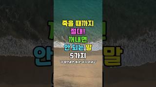 죽을 때까지 절대 꺼내면 안 되는 말 5가지 #명언 #인생조언 #좋은글 #말조심 #품격있는삶 #인간관계 #지혜