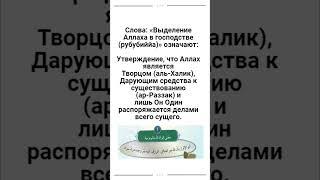 Слова «Выделение Аллаха в господстве (рубубиййа)» означают