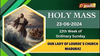 23 JUNE 2024 | Holy Mass in Tamil 06.00 AM | MADHA TV