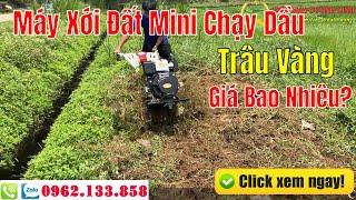 Giá Bán Máy Xới Đất Mini Chạy Dầu Trâu Vàng Mới Nhất