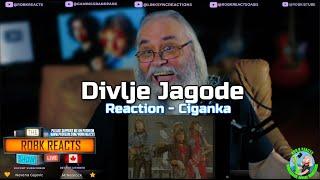 Divlje Jagode Reaction - Ciganka  -  First Time Hearing - Requested