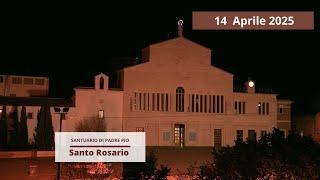 Santo Rosario - 14 aprile 2025 (fr. Giuseppe Perrone)