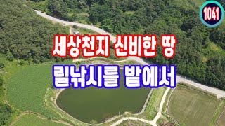 경북땅 시골 땅 밭 에서 낚시, 바로 앞 아주 예쁜 최고의 저수지 방향 햇살 최고 농막 체류형쉼터 건축 대출 농가주택 시골주택 OK