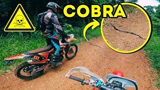 CRF x MXF QUAL É MELHOR? - RELOU NUMA COBRA NA TRILHA