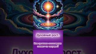 Эволюция душ. От первых воплощений до Высших учителей