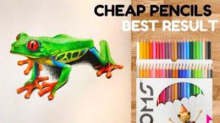 Drawing Realistic Frog With Colour Pencils | 2Artist