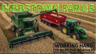 JOHN DEERE T660 & CLAAS LEXION 460 IN ACTION AT GIBBSTOWN FARMS