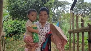 Single mother: go get leaves to build a new house & have a happy dinner with daughter - Ly Thien Ca