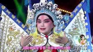 婷婷诗教音乐会《凉州词》唐 王翰 诗歌吟唱 葡萄美酒夜光杯